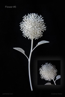 Fiore Quinto (#5)