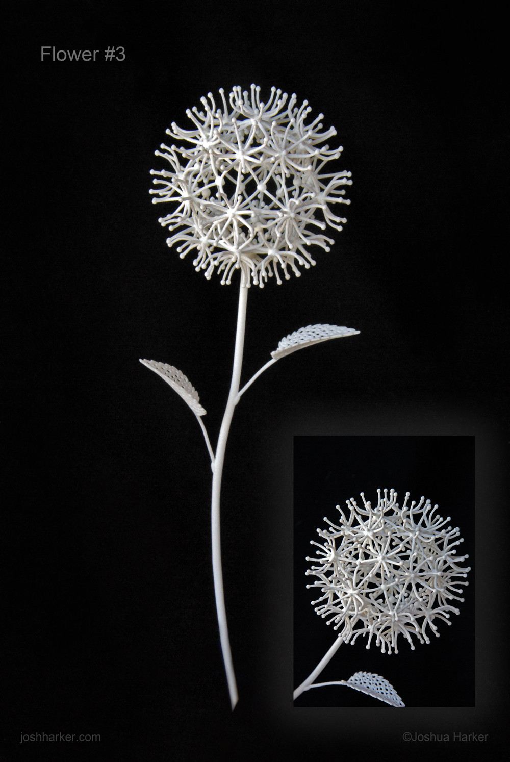 Fiore Terzo (#3)