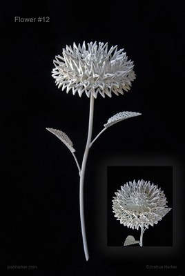 Fiore Dodicesimo (#12)