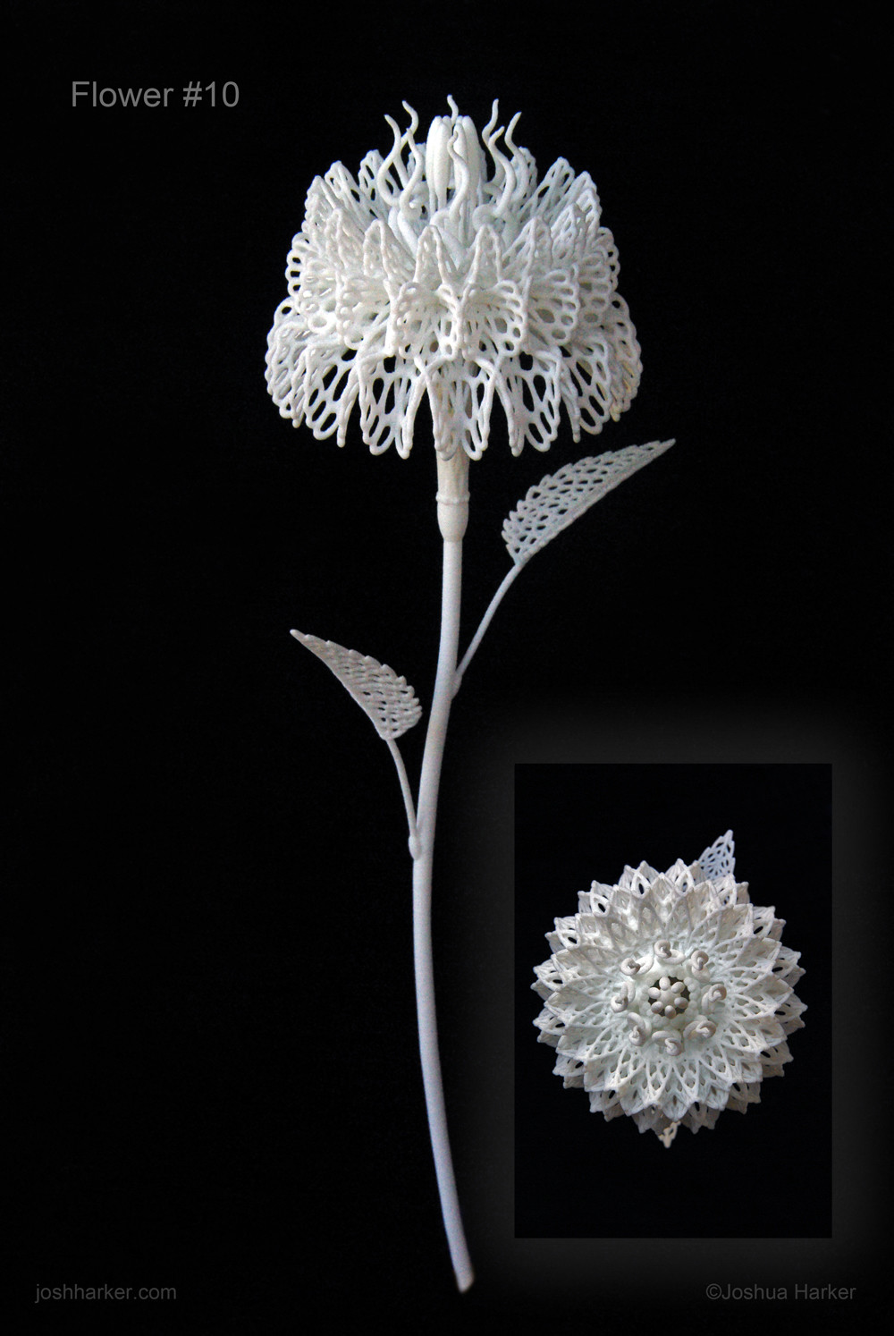 Fiore Decimo (#10)