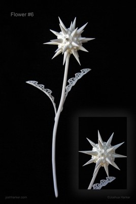 Fiore Sesto (#6)