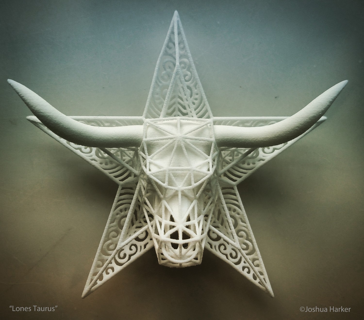 Lones Taurus