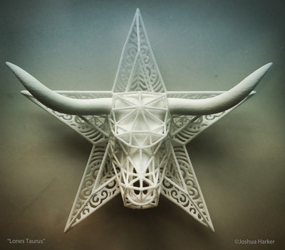 Lones Taurus