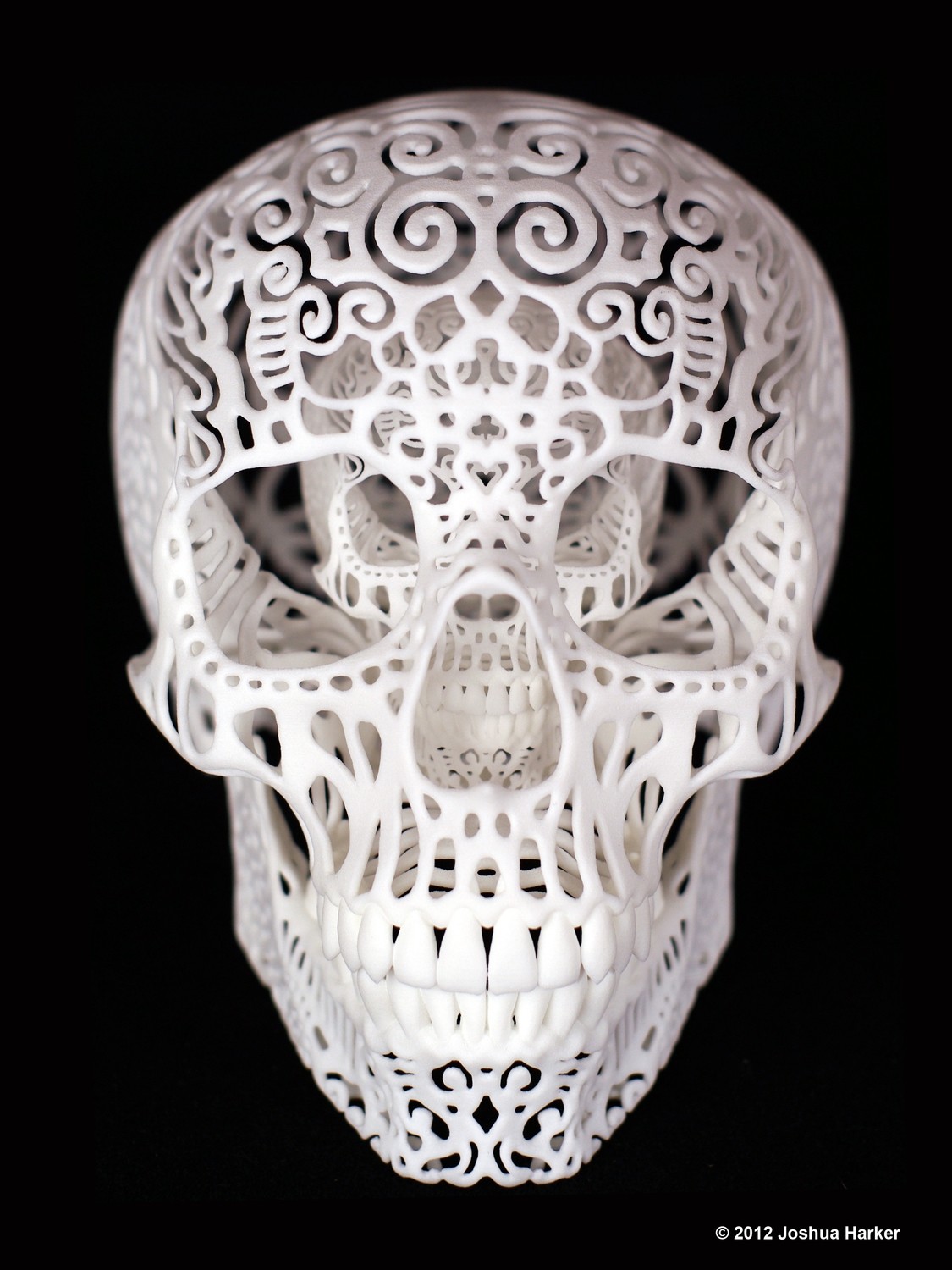 Crania Anatomica Filigre: Binary (Limited Edition)
