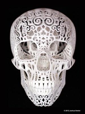 Crania Anatomica Filigre: Binary (Limited Edition)