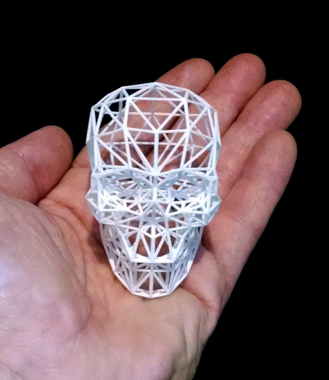 Crania Geodesica (mini)