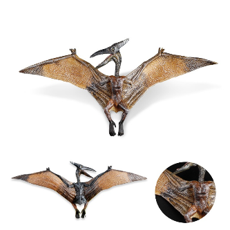 Therizinosaurus Solid Model (Medium)