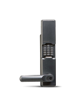 LP-905