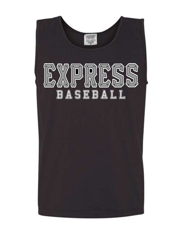 Grey Express Train (Comfort Color Options)