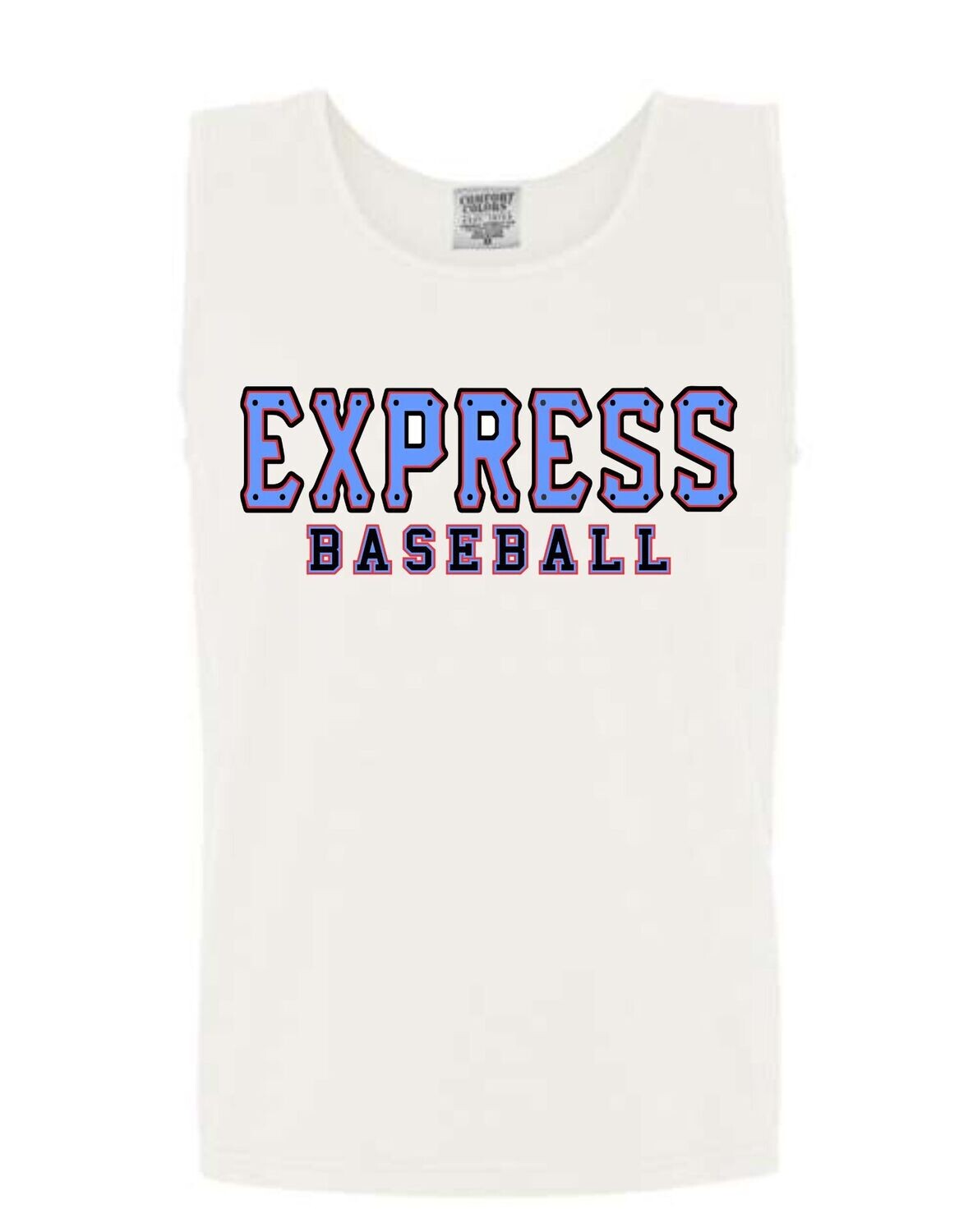 Blue Express Train (Comfort Color Options)