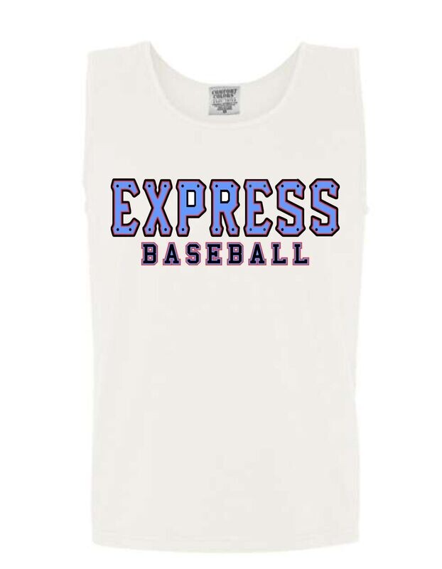 Blue Express Train (Comfort Color Options)