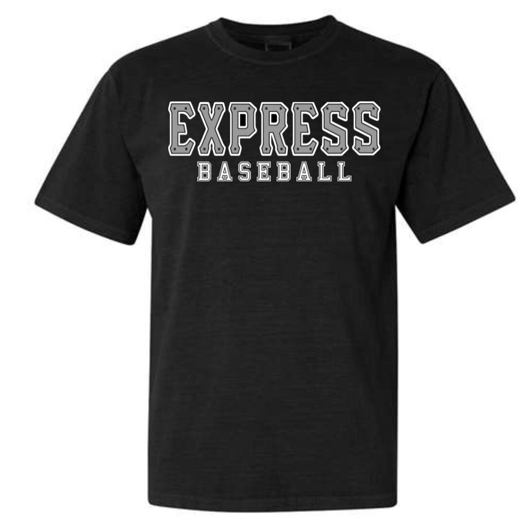 Grey Express Train Black T-Shirt (Cotton or Drifit)