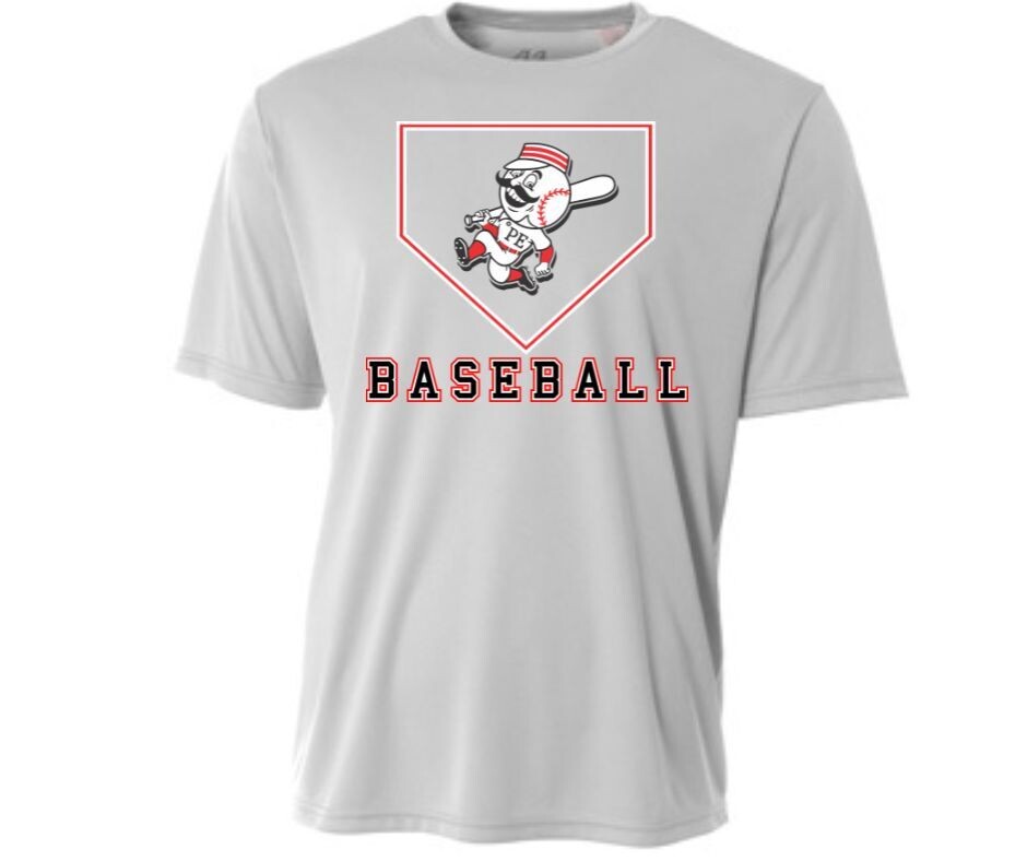 Grey BASEBALL Plate Tshirt (Cotton or Drifit)