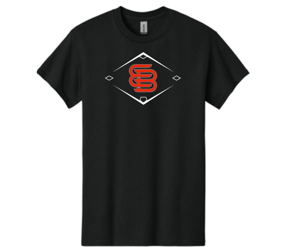 Black The Diamond EB Shirt (Cotton or Drifit)