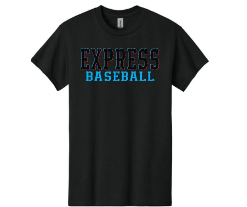 Black Express City Connect Tee (Cotton or Drifit)