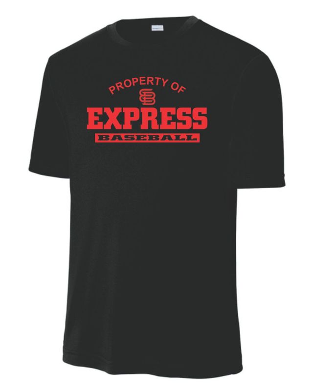 Black Property of Express Baseball