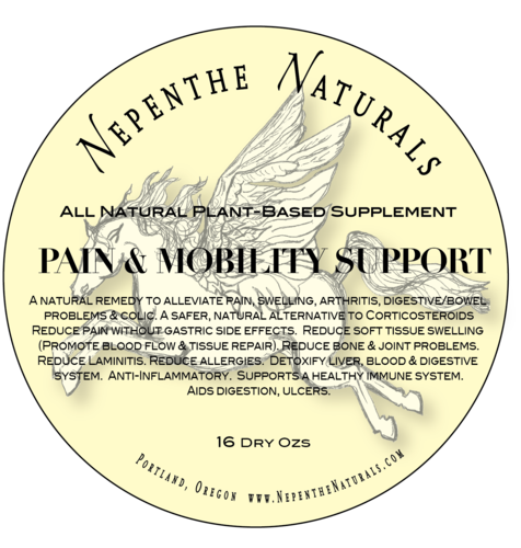 Pain & Mobility Support Supplement 16oz