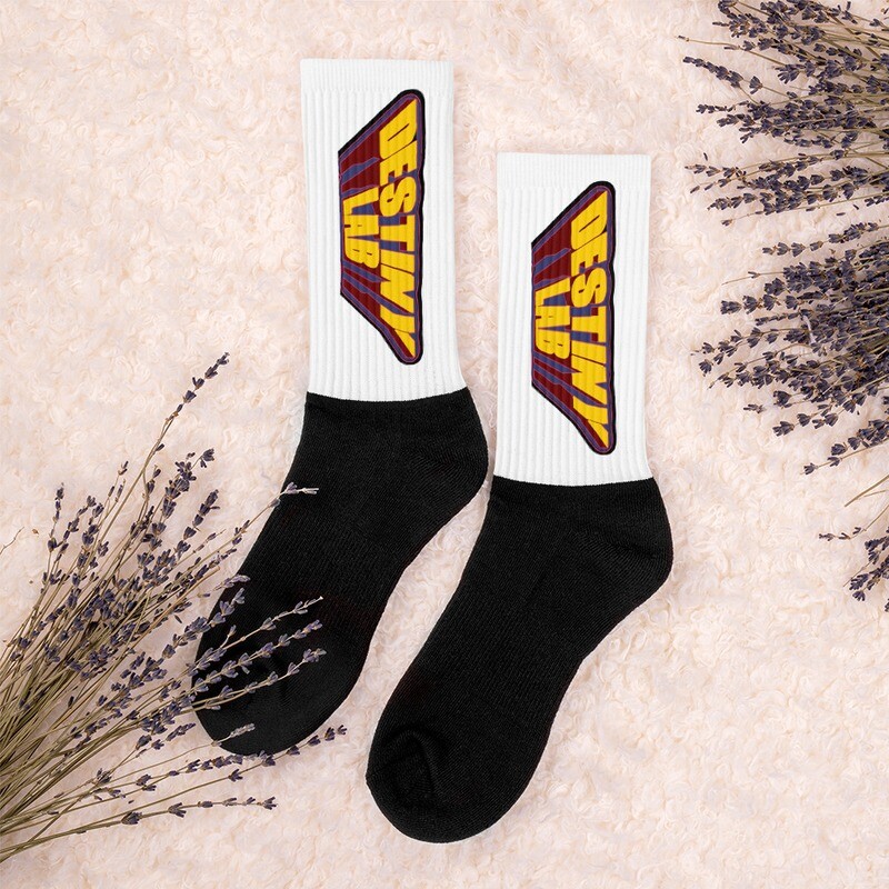 Destiny Lab 80&#39;s Logo Socks