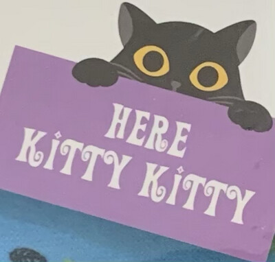 Here Kitty Kitty ( Cat Nip Toys). 
