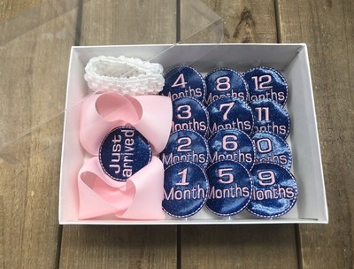 Pink/Blue Milestone Hair Bow Set