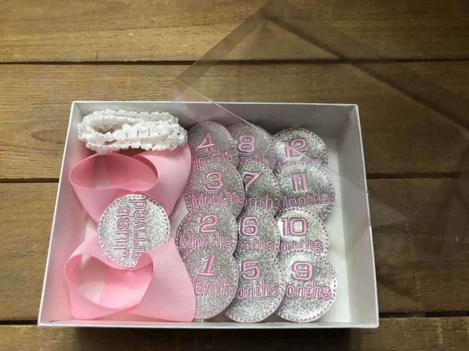 Silver/Pink Milestone Hair Bow Set