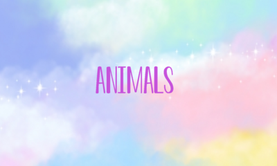 Animals