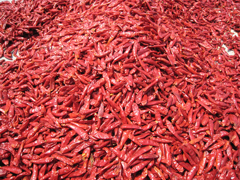 Dried Yunnan Chiles