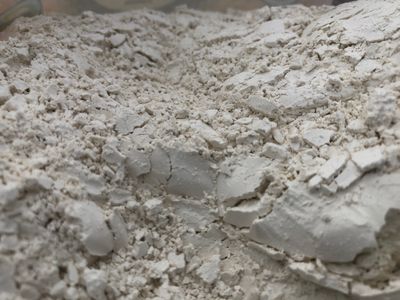 Food Grade Diatomaceous Earth