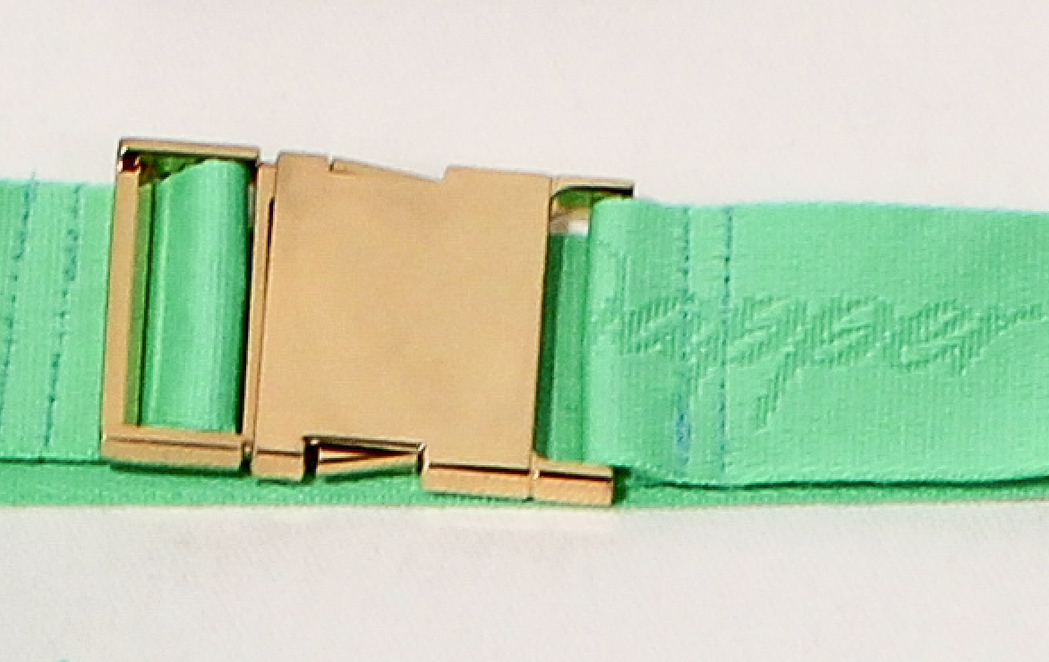 Winter "Mint" Tape Belt