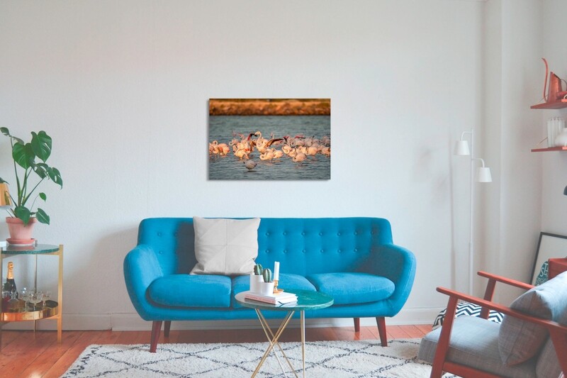 Photographie d&#39;art-limited edition Flamand rose