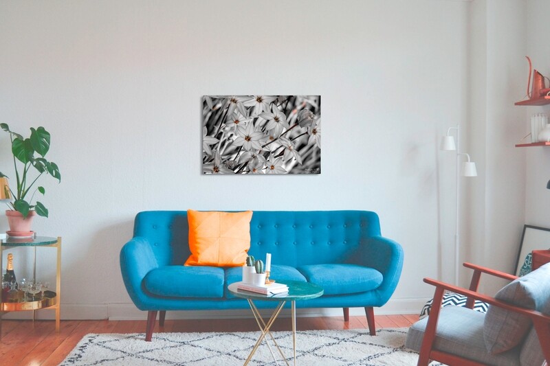 Photographie d'art-limited edition White flowers