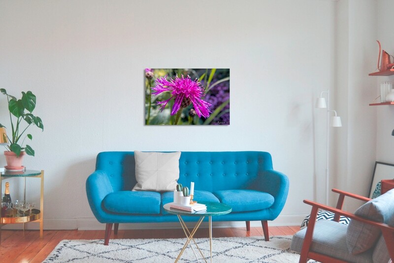 Photographie d'art-limited edition Purple flower