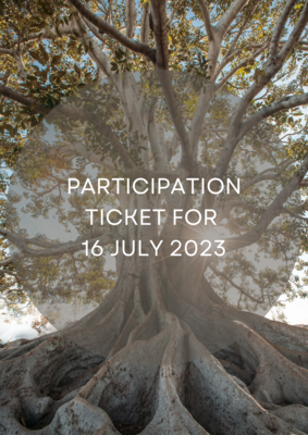 Participation Ticket for July workshop