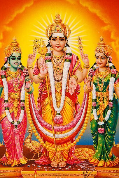 Vastram for Valli Devasena Sametha Sri subrahmanya Swamy