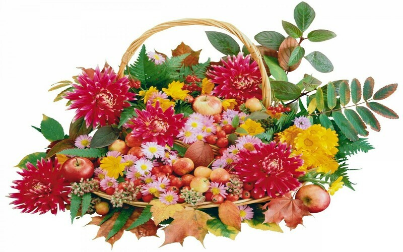 Flowers Sponsorship Flowers Sponsorship