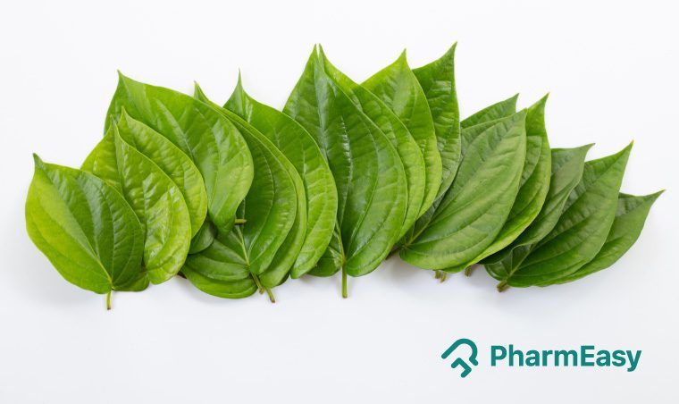 Betel Leaves for Sri Hanuman Ji (incl. Archana) Betel Leaves for Sri Hanuman Ji (incl. Archana)