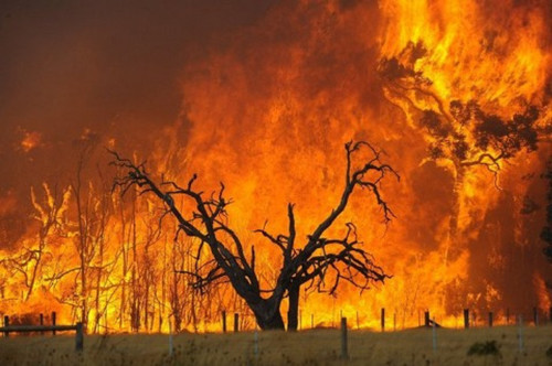 HR-Prof - Fire Protection for structural timber