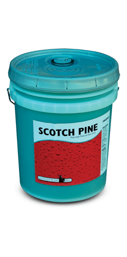 Scotch Pine Bay Soap - 5 Gallons