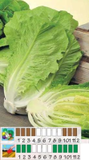 Hortícolas