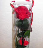 Rosas Prensadas