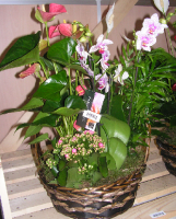 Cesta 7