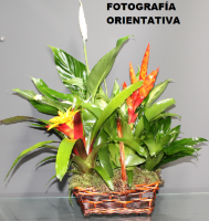 Cesta 8