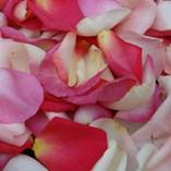Pétalos de Rosa Badior Bandeja de 35-45gr