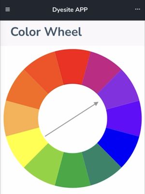 DyeBold Web App - Yearly Subscription For Dyebold Colorists, Carpet &amp; Rug Dyers
