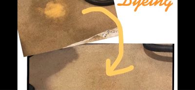 L1 Nylon Spot Dyeing- Self Paced Videos (No Pre-Req)