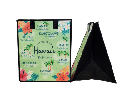 Tropical Paper Garden - Insulated Large Bag - HAWAII ISLES MINT LARGE