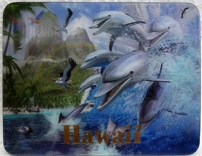 Magnet - Dolphin Wave 3D