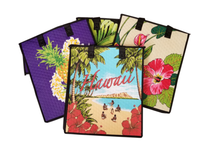 Large insulated Bags