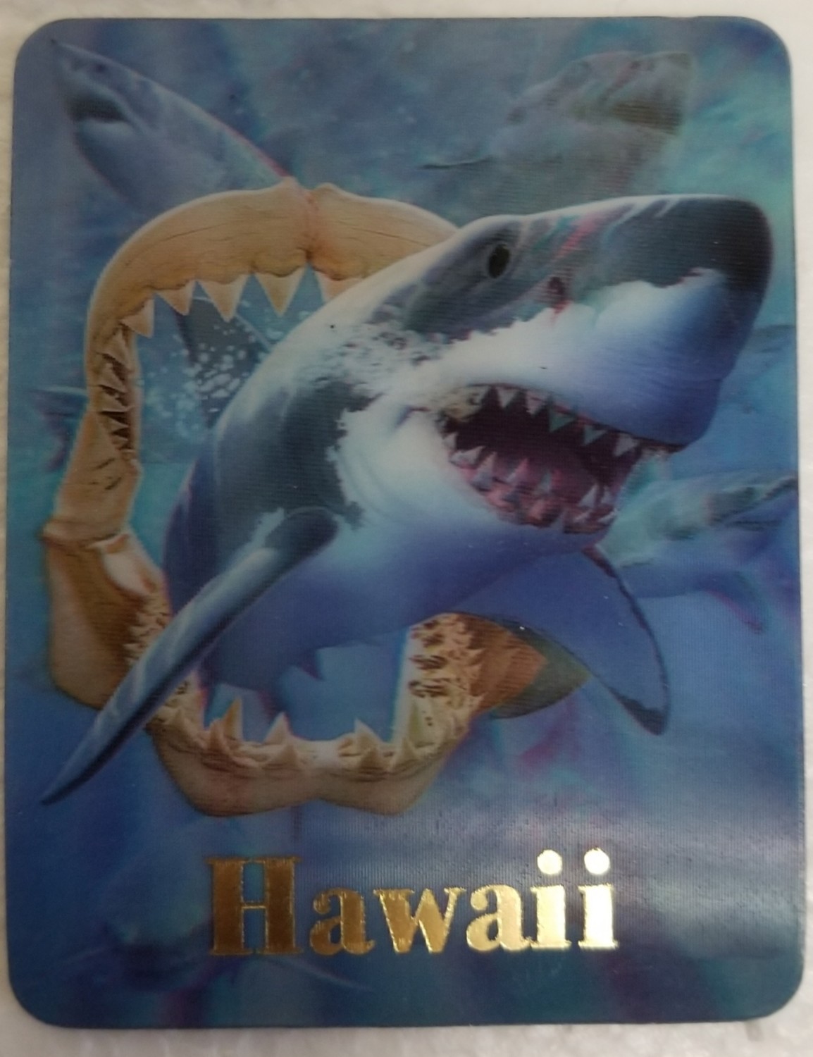 Magnet - Sharks & Jawbone 3D