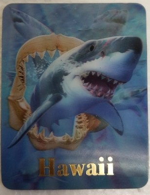 Magnet - Sharks &amp; Jawbone 3D